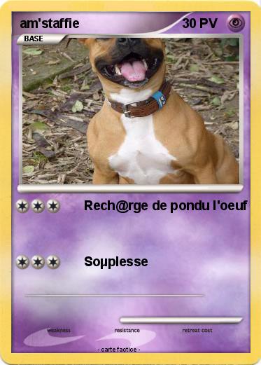 Pokemon am'staffie