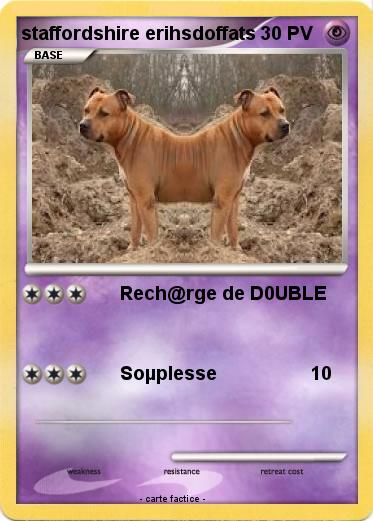 Pokemon staffordshire erihsdoffats