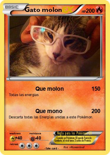 Pokemon Gato molon