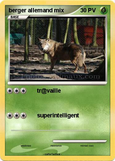 Pokemon berger allemand mix