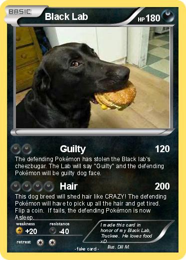 Pokemon Black Lab