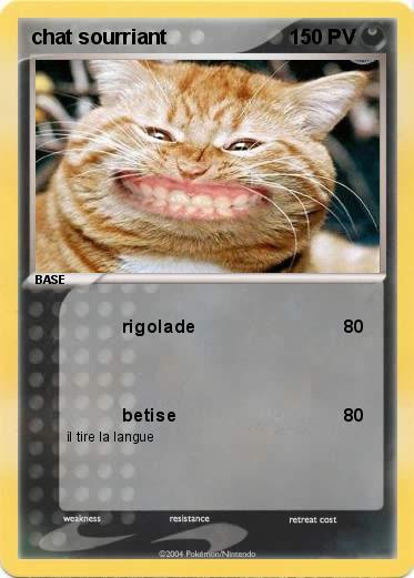 Pokemon chat sourriant