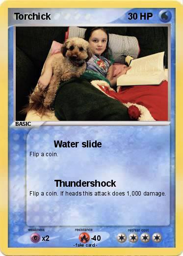 Pokemon Torchick