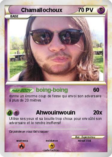 Pokemon Chamallochoux