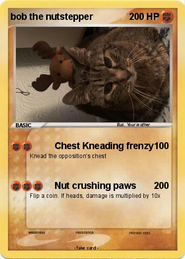 Pokemon bob the nutstepper