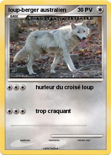 Pokemon loup-berger australien