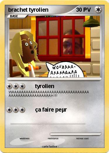 Pokemon brachet tyrolien