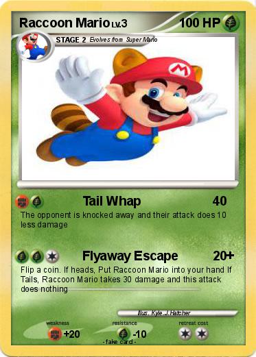 Pokemon Raccoon Mario