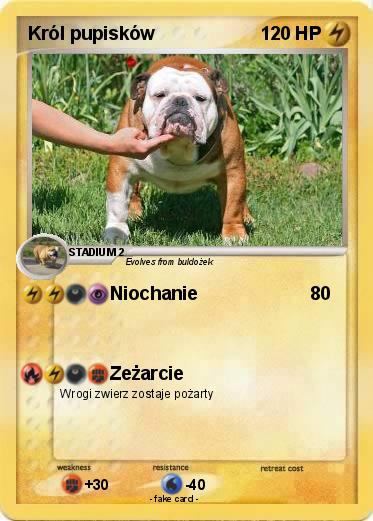 Pokemon Król pupisków
