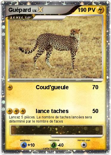 Pokemon Guépard