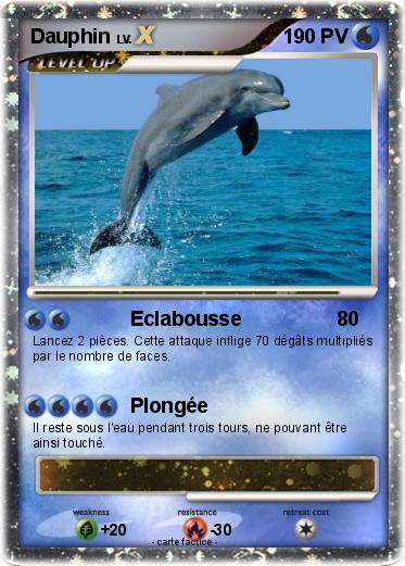 Pokemon Dauphin