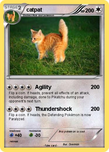 Pokemon catpat
