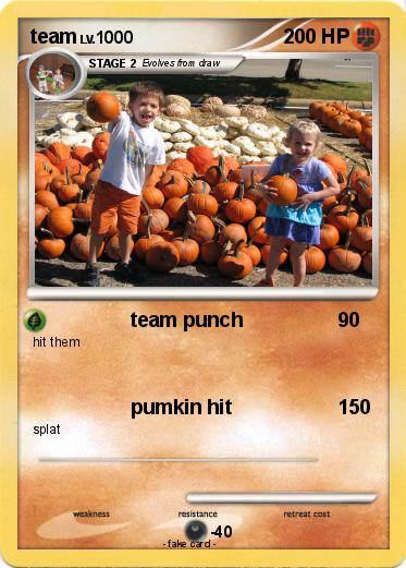 Pokemon team