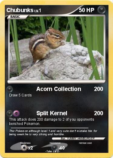 Pokemon Chubunks