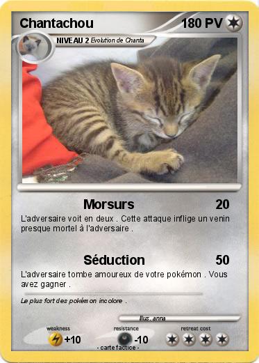 Pokemon Chantachou