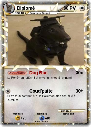 Pokemon Diplomé