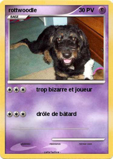 Pokemon rottwoodle
