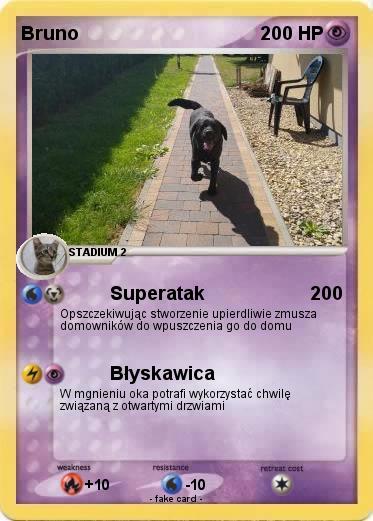 Pokemon Bruno