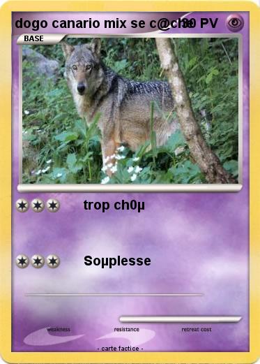 Pokemon dogo canario mix se c@che