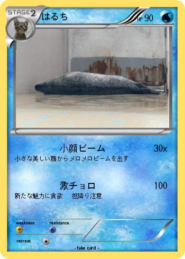 Pokemon はるち