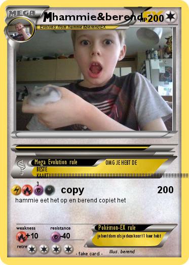 Pokemon hammie&berend