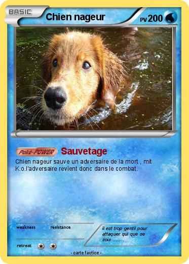 Pokemon Chien nageur