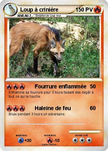 Pokemon Loup à crinière