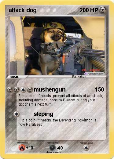 Pokemon attack dog
