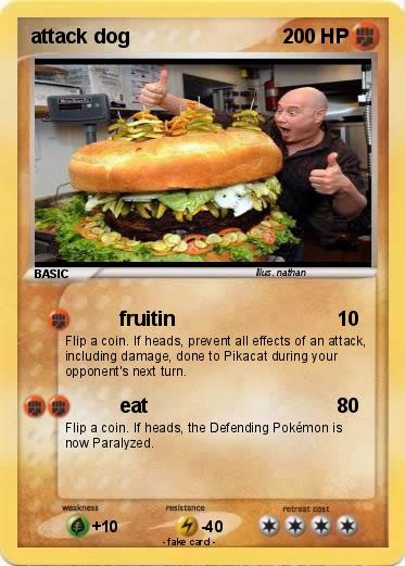 Pokemon attack dog