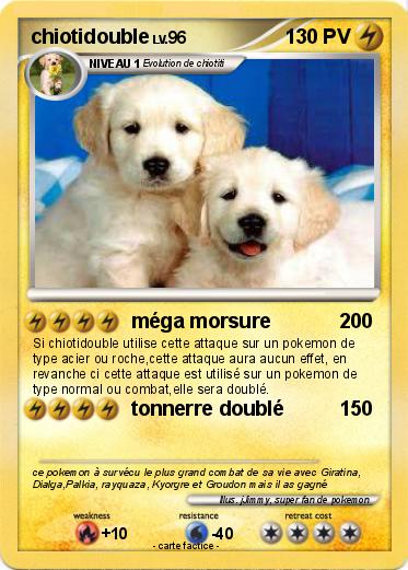 Pokemon chiotidouble