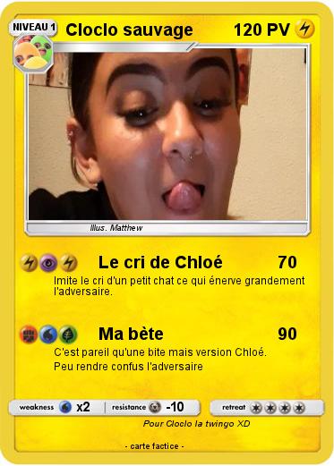 Pokemon Cloclo sauvage