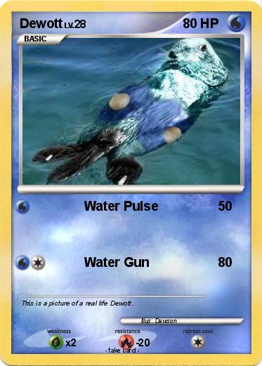 Pokemon Dewott