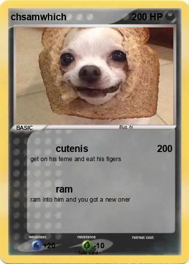Pokemon chsamwhich