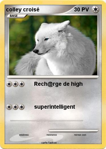 Pokemon colley croisé