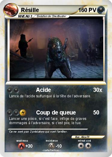 Pokemon Résille