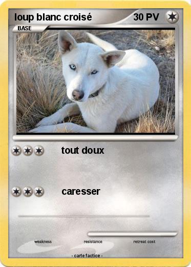 Pokemon loup blanc croisé