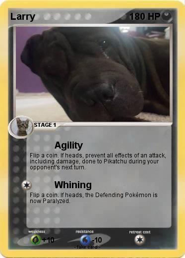 Pokemon Larry