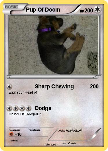 Pokemon Pup Of Doom