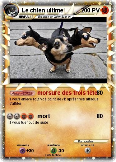 Pokemon Le chien ultime
