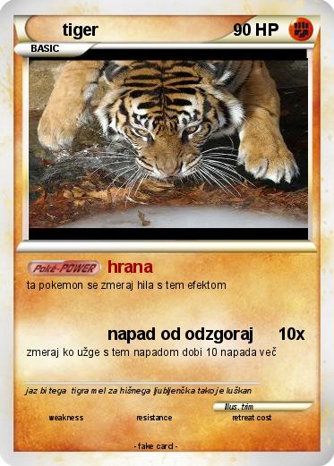 Pokemon tiger