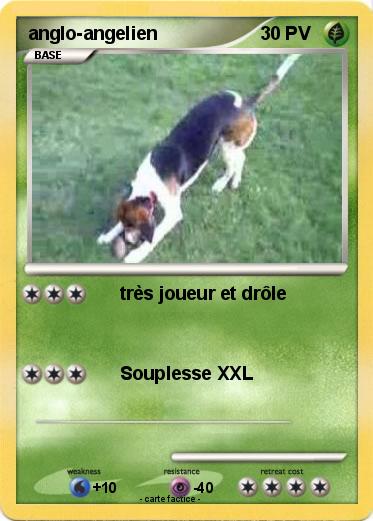 Pokemon anglo-angelien