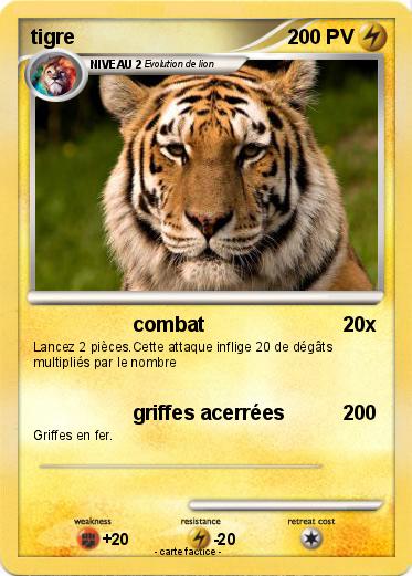 Pokemon tigre