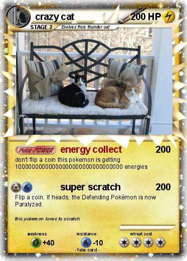 Pokemon crazy cat
