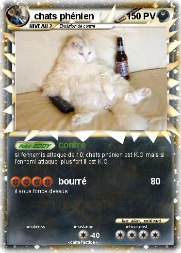 Pokemon chats phénien