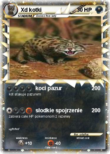 Pokemon Xd kotki
