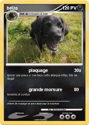 Pokemon belza