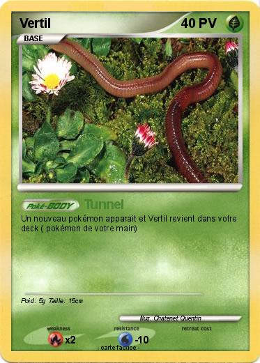 Pokemon Vertil