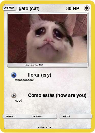 Pokemon gato (cat)