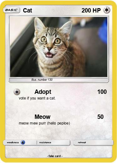Pokemon Cat