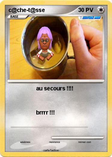 Pokemon c@che-t@sse